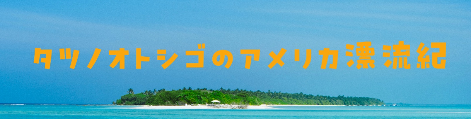 タツノオトシゴのアメリカ漂流紀